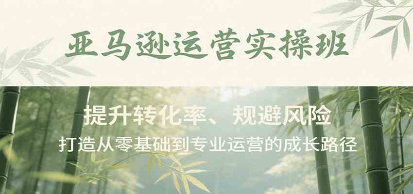 亚马逊运营实操班，提升转化率、规避风险，打造从零基础到专业运营的成长路径-优优云网创