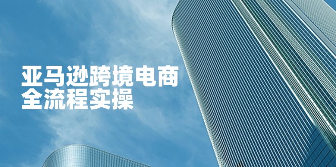 亚马逊跨境电商全流程实操，教你从零开始，掌握店铺运营与广告技巧-优优云网创