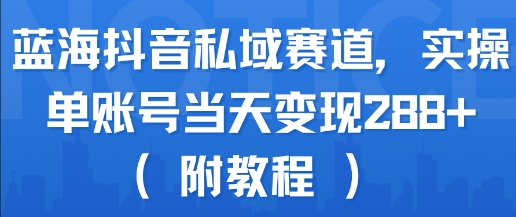 蓝海抖音私域赛道，实操单账号当天变现288+(附教程)-优优云网创