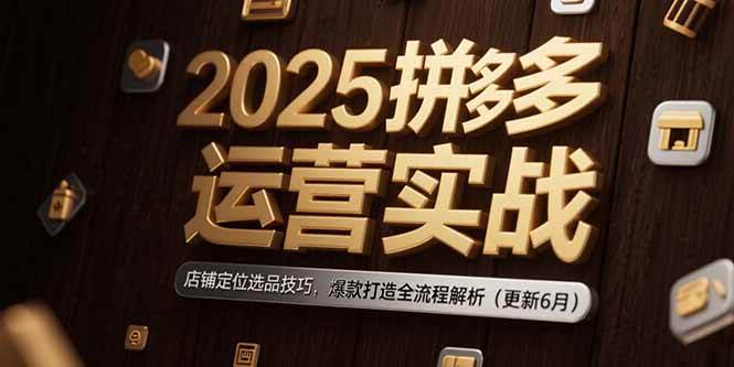 （15235期）2025拼多多运营实战：店铺定位选品技巧，爆款打造全流程解析（更新6月）-优优云网创