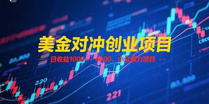 （15187期）美金对冲创业项目，日收益 1000 – 4000，小众暴力项目-优优云网创