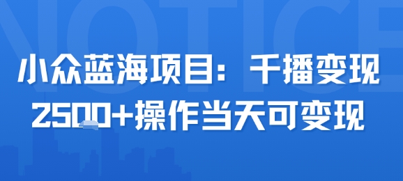 小众蓝海项目，千播变现2.5k+操作当天可变现-优优云网创