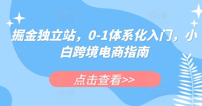 掘金独立站，0-1体系化入门，小白跨境电商指南-优优云网创