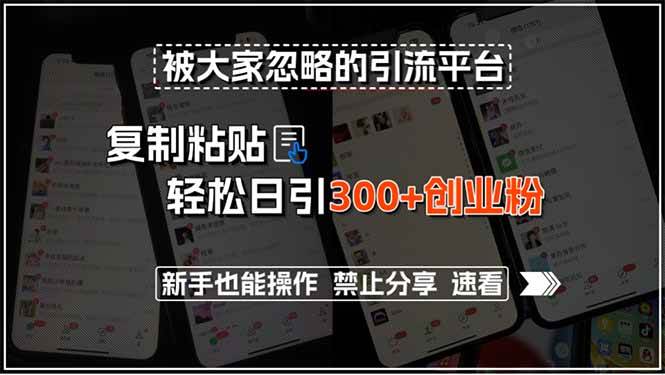 （15428期）被大家忽略的引流平台，复制粘贴轻松日引300+创业粉，新手也能操作，禁…-优优云网创