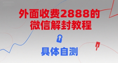 （15301期）外面收费2888的微信解封教程，具体自测-优优云网创