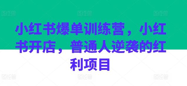 小红书爆单训练营，小红书开店，普通人逆袭的红利项目-优优云网创