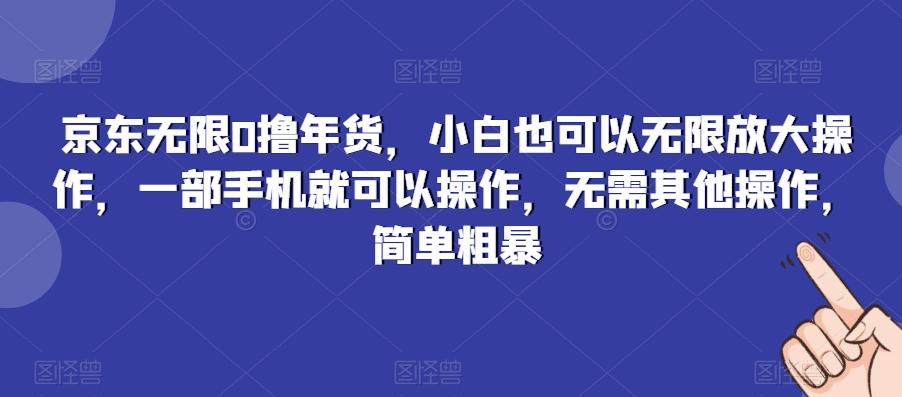 京东无限0撸年货，小白也可以无限放大操作，一部手机就可以操作，无需其他操作，简单粗暴-优优云网创
