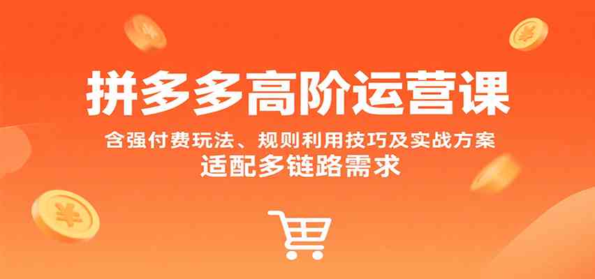 拼多多高阶运营课，含强付费玩法、规则利用技巧及实战方案，适配多链路需求-优优云网创