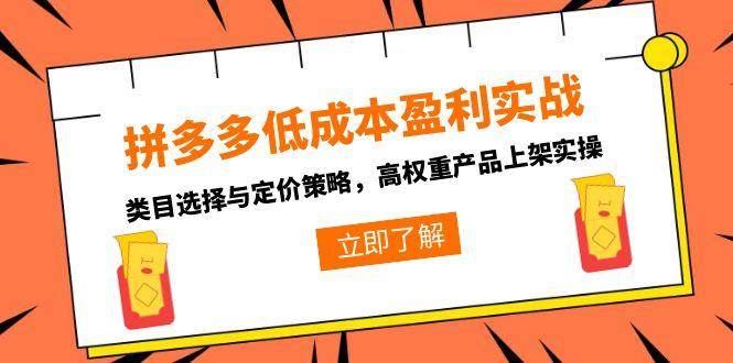 （15143期）拼多多低成本盈利实战，类目选择与定价策略，高权重产品上架实操-优优云网创