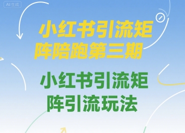 小红书引流矩阵陪跑第三期，小红书引流矩阵引流玩法-优优云网创