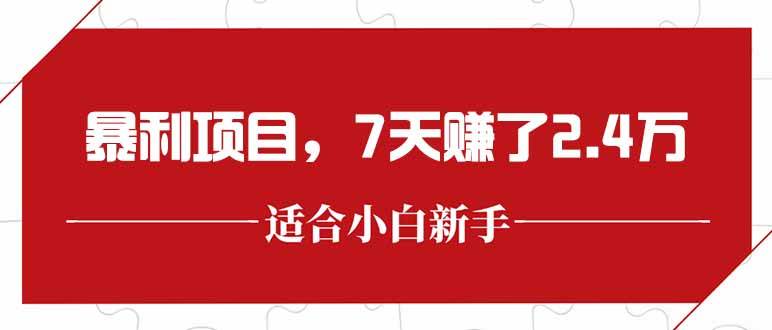 （15228期）最新暴利项目，每单收益轻松在300以上，7天赚了2.4万-优优云网创