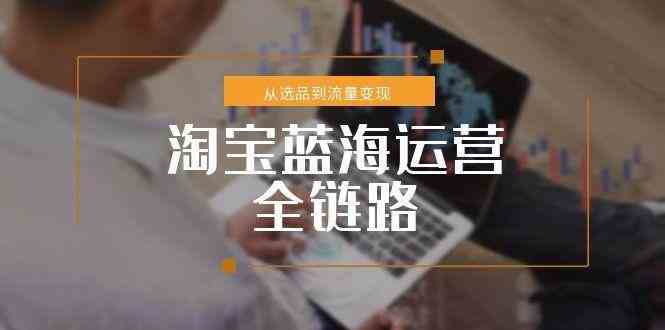 淘宝蓝海运营全链路，从选品到流量变现，小类目突围完整方案-优优云网创