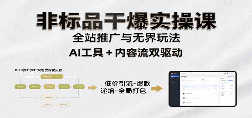 非标品干爆实操课：含多案例及操盘方法，从选品到推广、成交，助力打造爆款实现盈利-优优云网创
