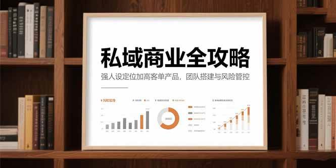 （15294期）私域商业全攻略，强人设定位加高客单产品，团队搭建与风险管控-优优云网创