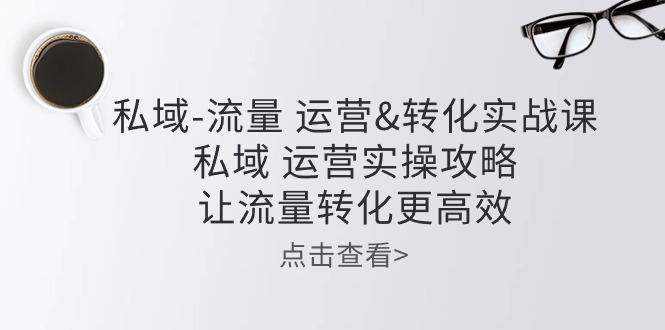 私域-流量 运营&转化实操课：私域 运营实操攻略 让流量转化更高效-优优云网创