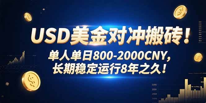 （15551期）USD美金对冲搬砖!单人单日800-2000CNY，长期稳定运行8年之久!-优优云网创