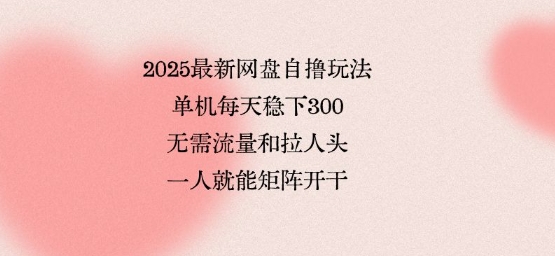 2025最新网盘自撸玩法，单机每天稳下3张，无需流量和拉人头，一个人就可轻松矩阵，全网独一份【揭秘】-优优云网创