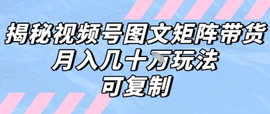 解密视频号图文矩阵带货，月入几个W的打法，可复制-优优云网创