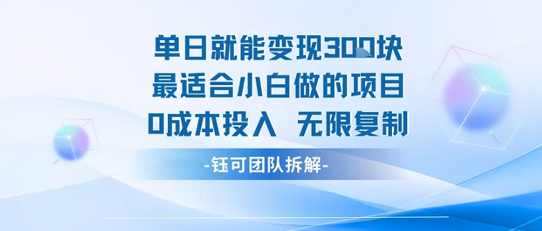 单日就能变现3张最适合小白做的项目0成本投入 无限复制-优优云网创