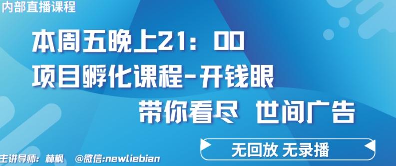 4.26日内部回放课程《项目孵化-开钱眼》赚钱的底层逻辑【揭秘】-优优云网创