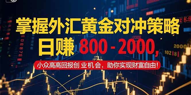（15198期）掌握外汇黄金对冲策略，日赚 800 – 2000，小众高回报创业机会，助你实…-优优云网创