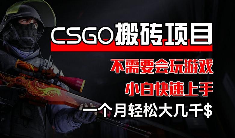 CSGO 装备搬砖项目，操作简单，不需要会玩游戏，小白也能快速上手，一个月轻松大几千【揭秘】-优优云网创