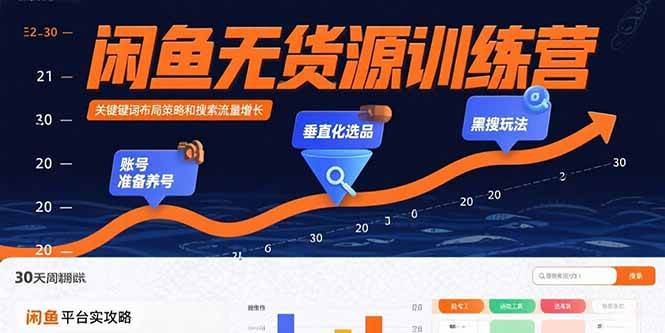（15698期）闲鱼无货源训练营：账号准备养号/垂直化选品/黑搜玩法，0基础30天盈利指南-优优云网创