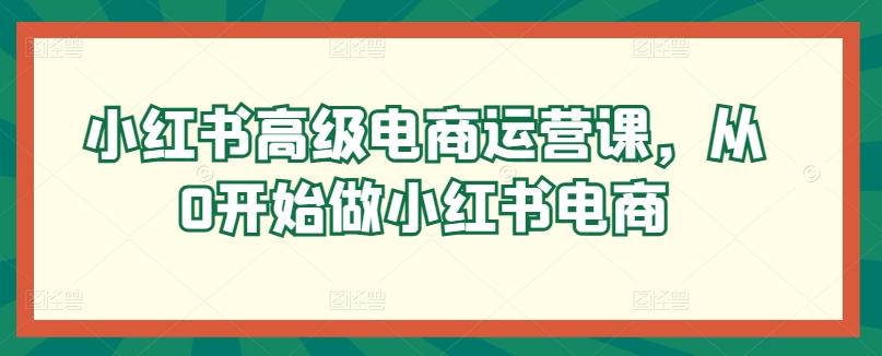 小红书高级电商运营课，从0开始做小红书电商-优优云网创