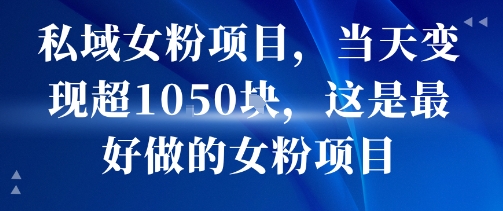 私域女粉项目，当天变现超1k，这是最好做的女粉项目，可放大操作-优优云网创