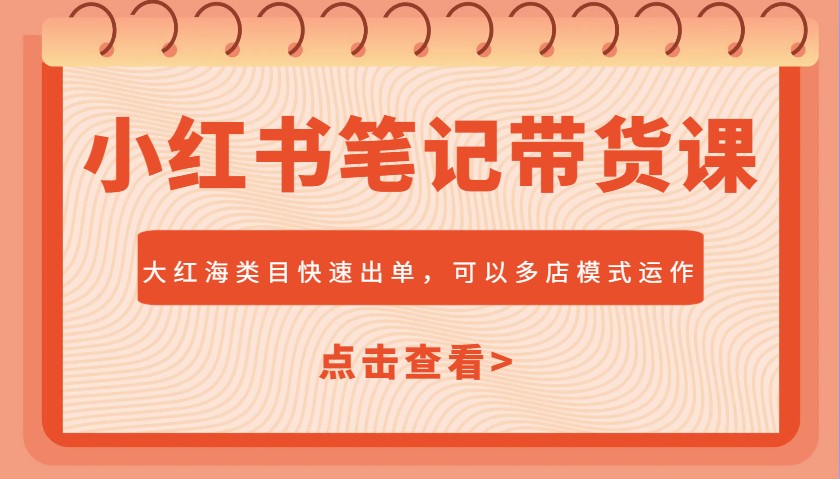 小红书笔记带货课，大红海类目快速出单，市场大，可以多店模式运作(更新)-优优云网创