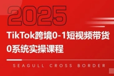 TikTok跨境0-1短视频带货，系统拆解TikTok跨境带货全链路，实现跨境可持续盈利-优优云网创