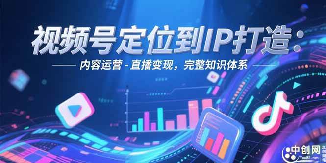 （15173期）视频号定位到IP打造：账号搭建-内容运营-直播变现，完整知识体系-优优云网创