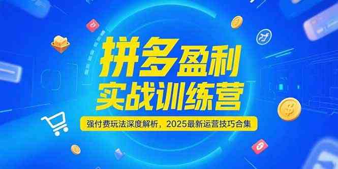 拼多多盈利实战训练营，强付费玩法深度解析，2025最新运营技巧合集-优优云网创