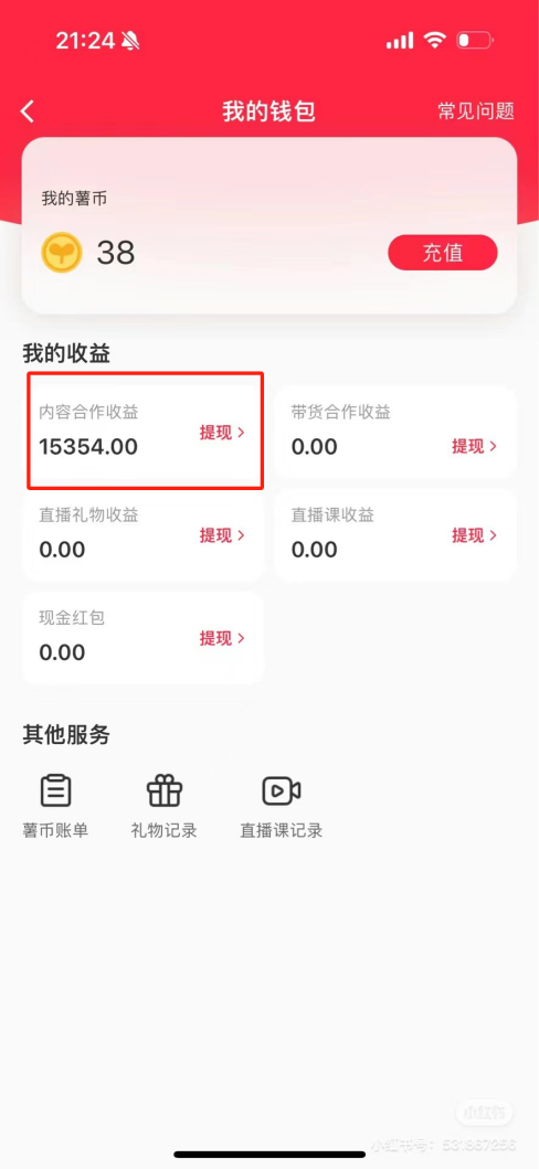 热门评论引爆小红书流量，作品制作简单，广告接到手软，月入过万不是梦-优优云网创