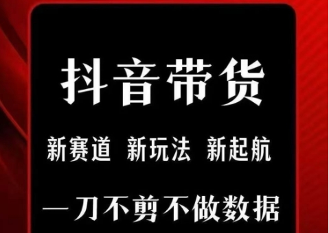 抖音短视频一刀不剪带货，不剪辑，不直播，每天发个视频，等着出单获取带货佣金-优优云网创