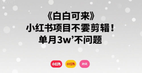 小白可来 小红书项目不需要剪辑 单月3w不是问题-优优云网创