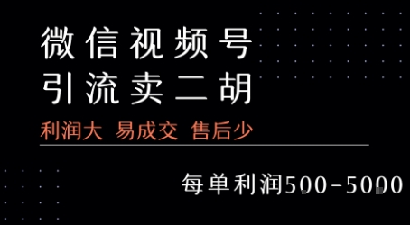 视频号卖二胡教程，利润大 易成交 售后少，一单利润5张+-优优云网创