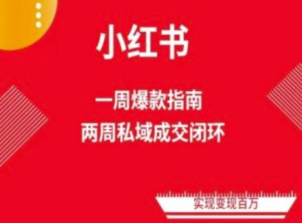爆款小红书免费流量体系课程(两周变现)，小红书电商教程-优优云网创