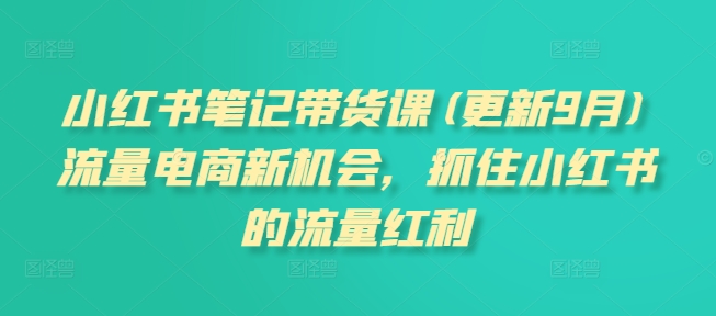 小红书笔记带货课(更新25年6月)流量电商新机会，抓住小红书的流量红利-优优云网创