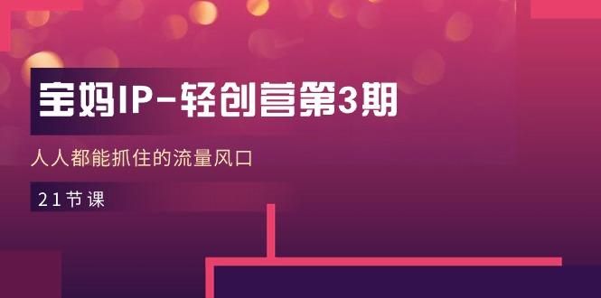 宝妈IP-轻创营第3期，人人都能抓住的流量风口(21节课-优优云网创
