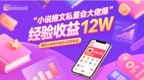 小说推文私董会大佬爆单经验分享收益12W，番茄小说每天稳定4位数收益-优优云网创