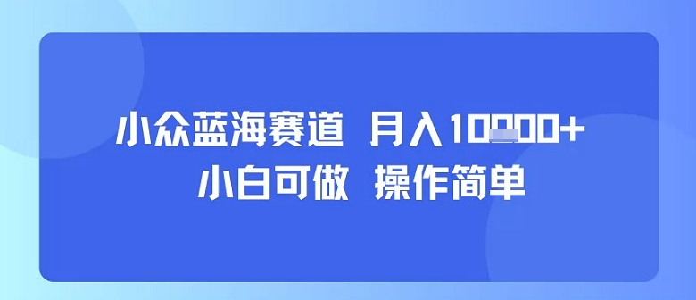 小众蓝海赛道，小白可做，操作简单，每天30分钟，月入1W+-优优云网创