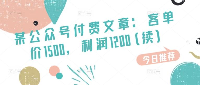某公众号付费文章：客单价1500，利润1200(续)，市场几乎可以说是空白的-优优云网创