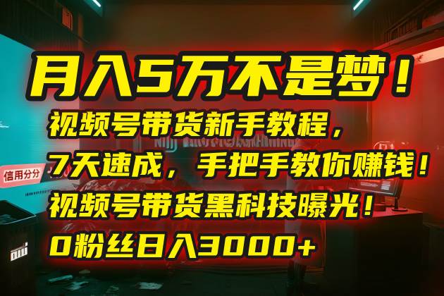 （15595期）月入5万不是梦！视频号带货新手教程，7天速成，手把手教你赚钱！视频号…-优优云网创