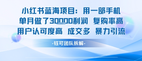 小红书蓝海项目，一部手机单月做了3W利润，小白也能月入过1W用户认可度高成交多-优优云网创