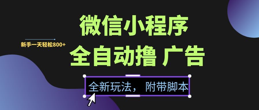 （15134期）微信小程序挂机撸广告，全新玩法，新手一天轻松800+【附带脚本】-优优云网创